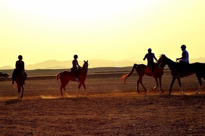 Arabian Horseback Ride on Hurghada's Desert & Red Sea Shoreline photo 5