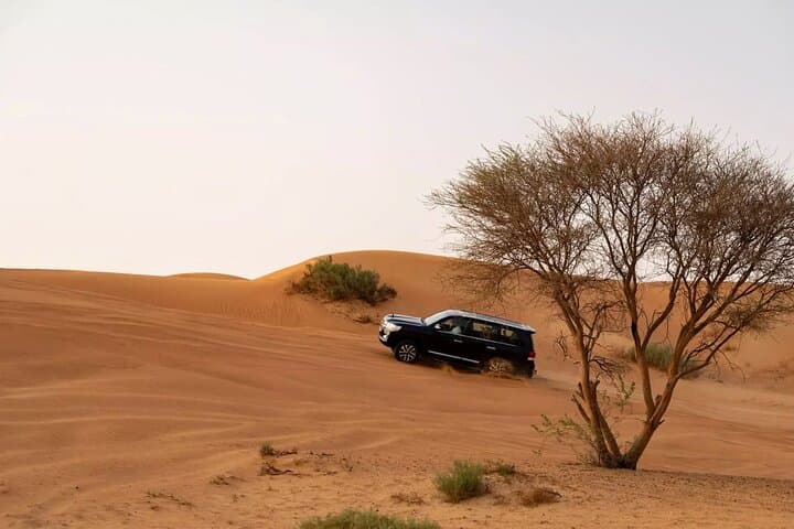 Ras Al Khaimah Desert Safari: Dune Bashing, BBQ Dinner & Cultural Show photo 5