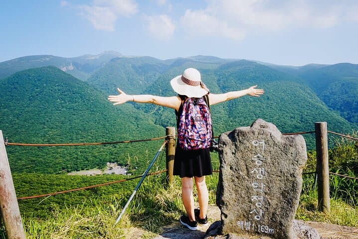 Jeju East & South One-Day Nature Tour: Sunrise Peak, Osulloc, Oedolgae & Cheonjiyeon photo 3