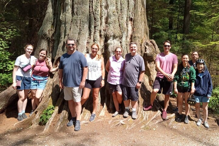 Stanley Park Highlights: 2.5-Hour Walking Tour of Seawall, Totems & Beaver Lake photo 2
