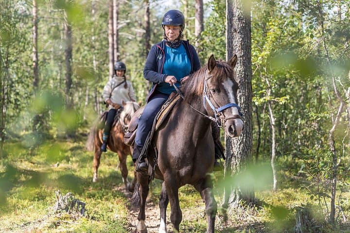 Horseback Riding in Levi: 2-Hour Finnhorse Trail Ride Through Pine Forests photo 2
