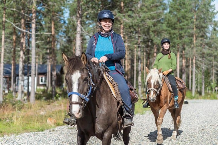 Horseback Riding in Levi: 2-Hour Finnhorse Trail Ride Through Pine Forests