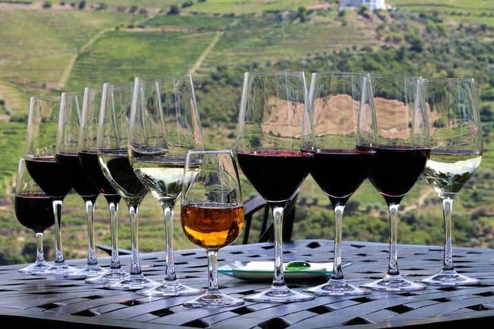 Douro Valley Wine Tour from Porto — 2 Wineries, Lunch & Optional Rabelo Cruise