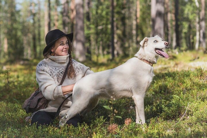 Hiking with a Husky in Lapland — Forest Walks with Sled-Dog Companions photo 3