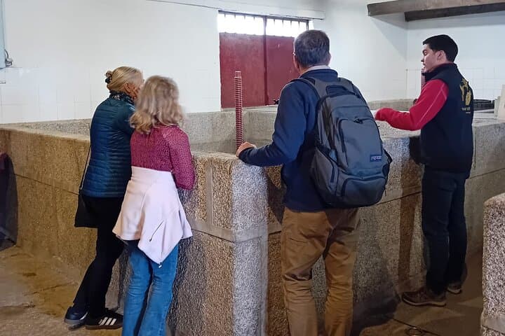 Douro Valley Wine Tour from Porto — 2 Wineries, Lunch & Optional Rabelo Cruise photo 4