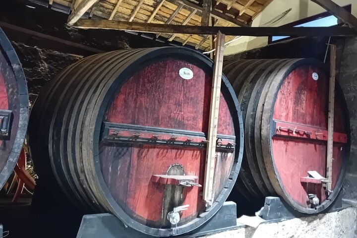 Douro Valley Wine Tour from Porto — 2 Wineries, Lunch & Optional Rabelo Cruise photo 5