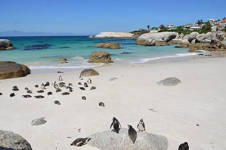 Cape Town to Kruger: 8-Day Hoedspruit Luxury Safari & City Highlights photo 1