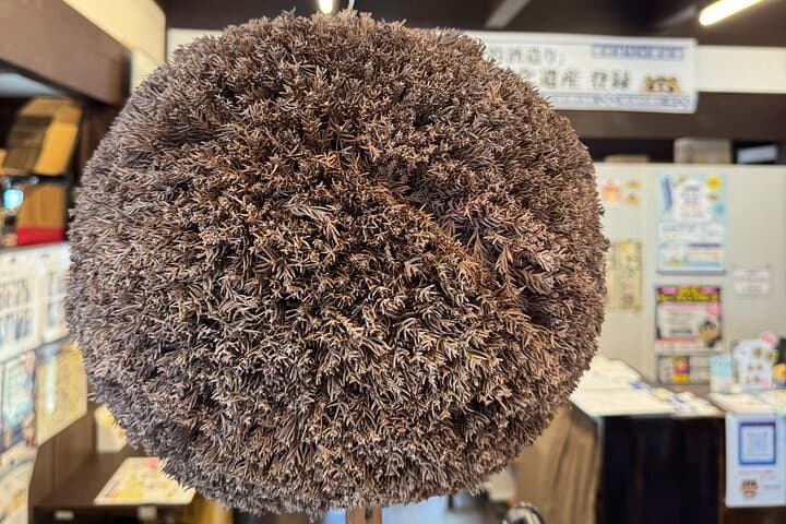 Sake, Bridges & Islands: Full-Day Saijo, Takehara & Shimanami Tour from Hiroshima photo 3