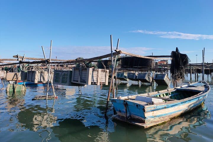 Venice Lagoon Team-Building: Learn to Captain a Local Boat from Chioggia photo 5