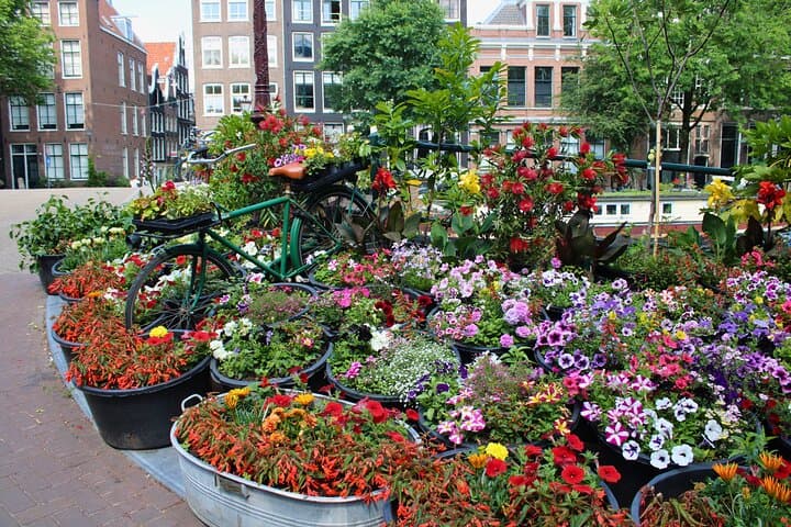 Private Kids Tour Amsterdam: Interactive Family Walking Treasure Hunt photo 6