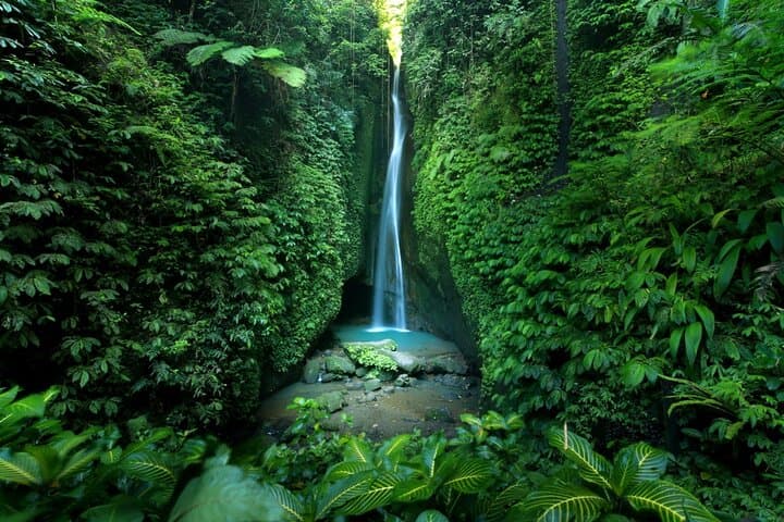 Private Bali Highlands Tour: Beratan Temple, Leke Leke Waterfall & Handara Gates photo 4