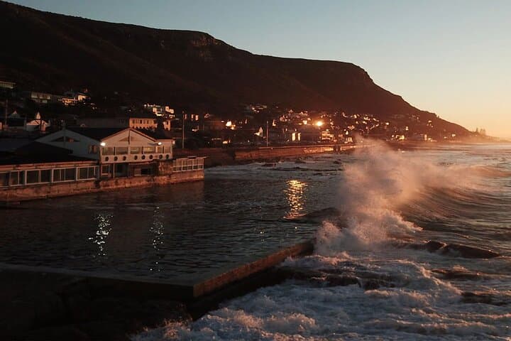 Cape Peninsula Scenic Drive with Penguin Viewing & Lunch from Cape Town