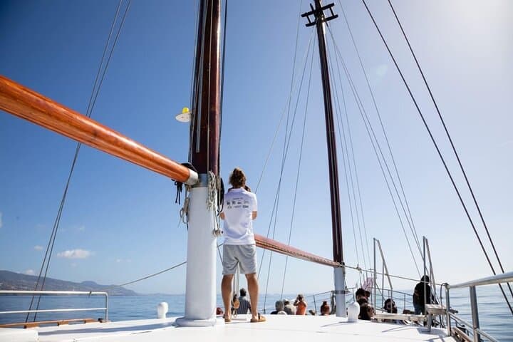 Desert Islands Boat Trip from Funchal — Day Cruise to Ilhas Desertas photo 4