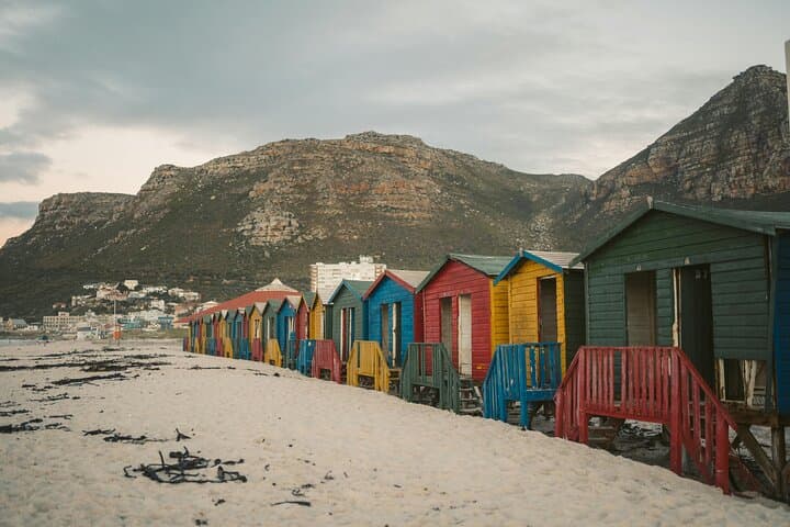 Cape Peninsula Scenic Drive with Penguin Viewing & Lunch from Cape Town photo 3