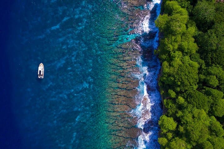 Snorkelling Christmas Island: Guided Boat Trips to Flying Fish Cove's Coral Gardens photo 3