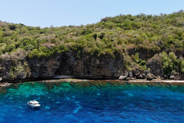 Snorkelling Christmas Island: Guided Boat Trips to Flying Fish Cove's Coral Gardens photo 2