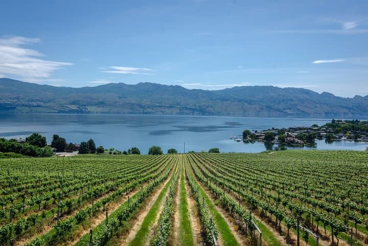 Vernon Private Wine & Pontoon Cruise on Okanagan Lake photo 6