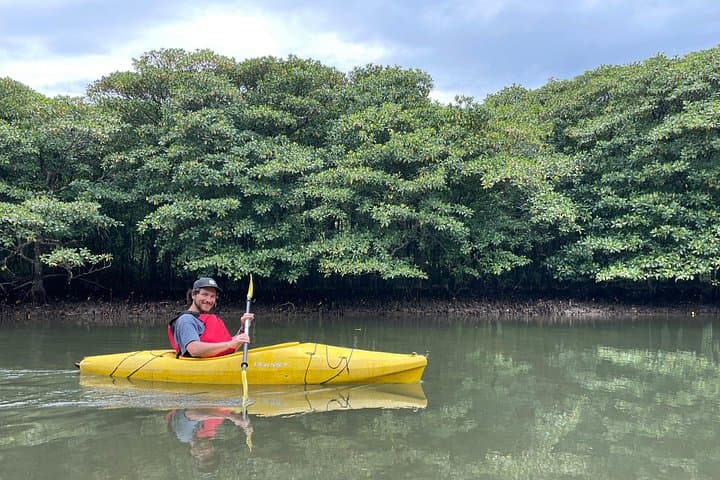Pinaisara Falls Canoe and Trek: Iriomote’s Subtropical River Adventure photo 2