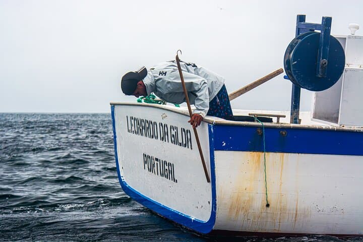 Traditional Azorean Fishing Experience from Rabo de Peixe: Hands-On Half-Day Trip photo 2