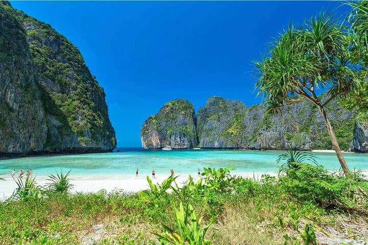 Phi Phi and Bamboo Island Speed Catamaran Day Trip from Phuket photo 3