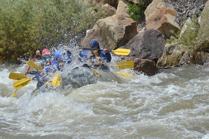 Beginner Whitewater Rafting in Bighorn Sheep Canyon on the Arkansas River photo 6