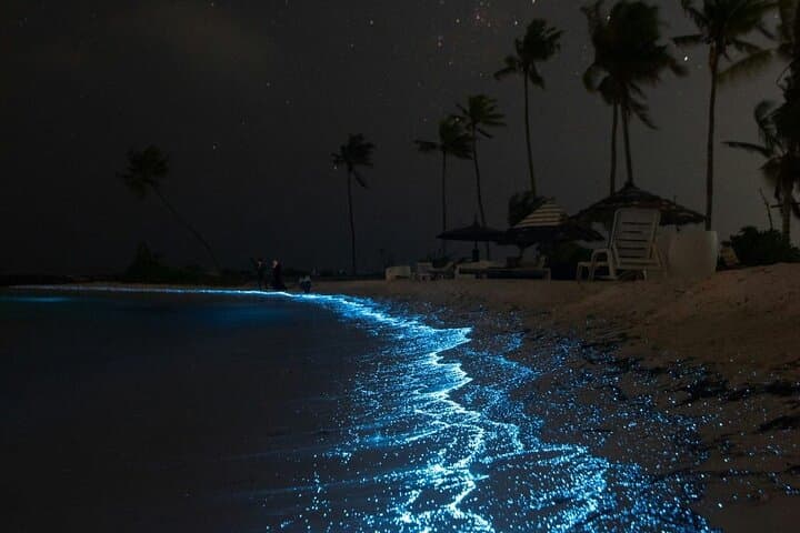 Puntarenas to Isla San Lucas Bioluminescence Cruise photo 2