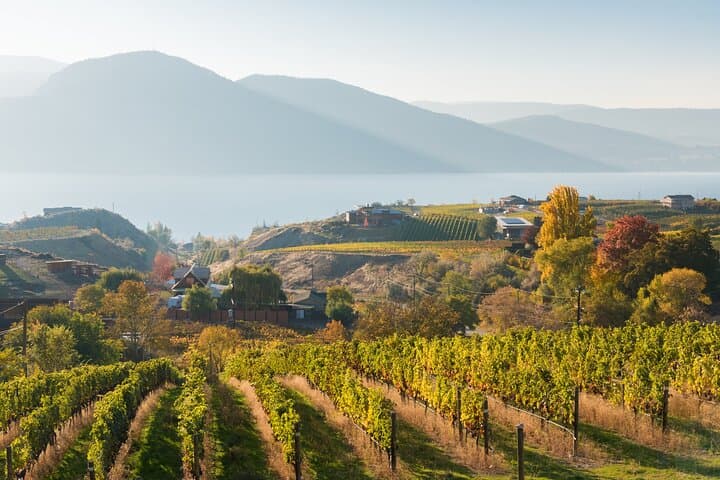 Vernon Private Wine & Pontoon Cruise on Okanagan Lake photo 5