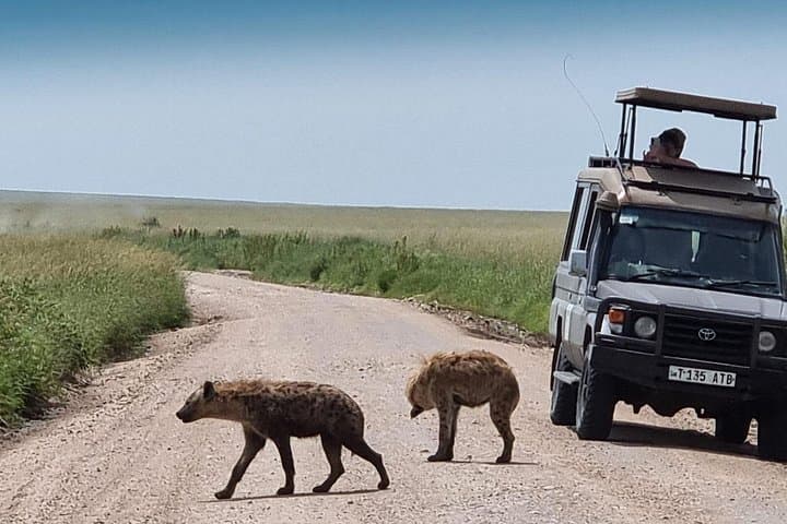 3-Day Serengeti and Ngorongoro Crater Safari from Arusha photo 2