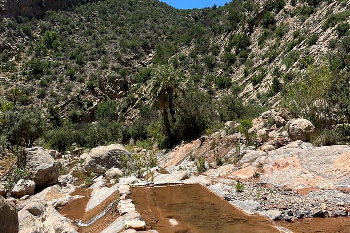 Agadir Paradise Valley Day Trip: Short Hike, Natural Pools & Swimming photo 6