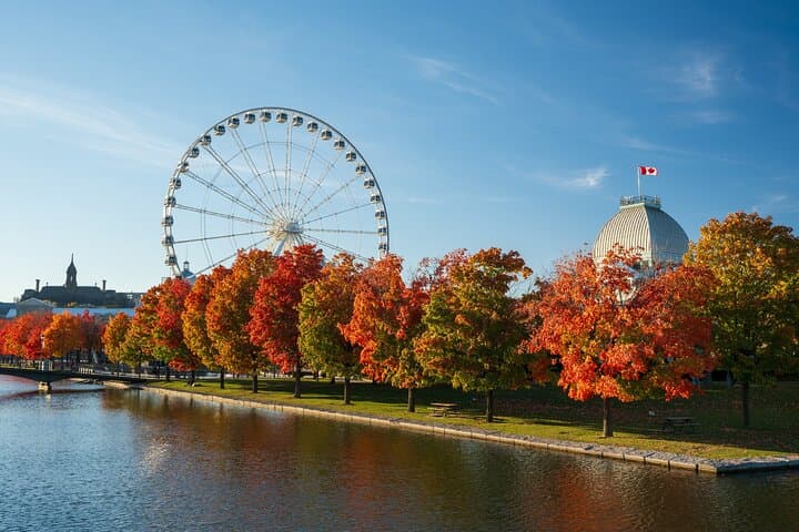 Ultimate Private Montréal City Tour: Culture, Views & Local Flavor photo 2