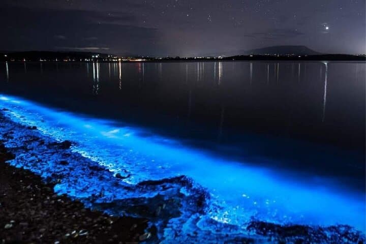 Puntarenas to Isla San Lucas Bioluminescence Cruise photo 6