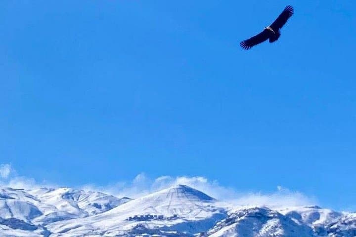 Andes Mountains Tour from Santiago — Farellones Day Trip with Gourmet Appetizer photo 1