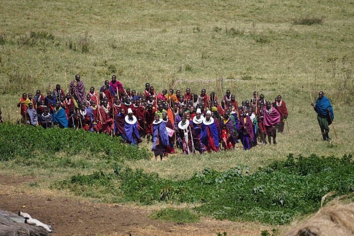 3-Day Ngorongoro, Tarangire & Lake Manyara Safari from Arusha photo 5