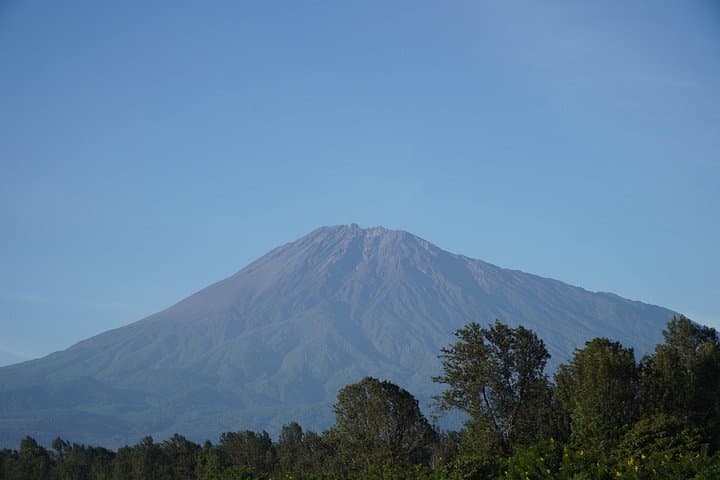 3-Day Ngorongoro, Tarangire & Lake Manyara Safari from Arusha photo 4
