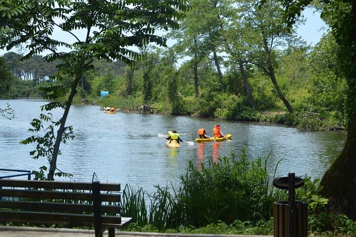 Discover the Georgian Amazon: Batumi Boat Tour to Kolkheti National Park photo 6