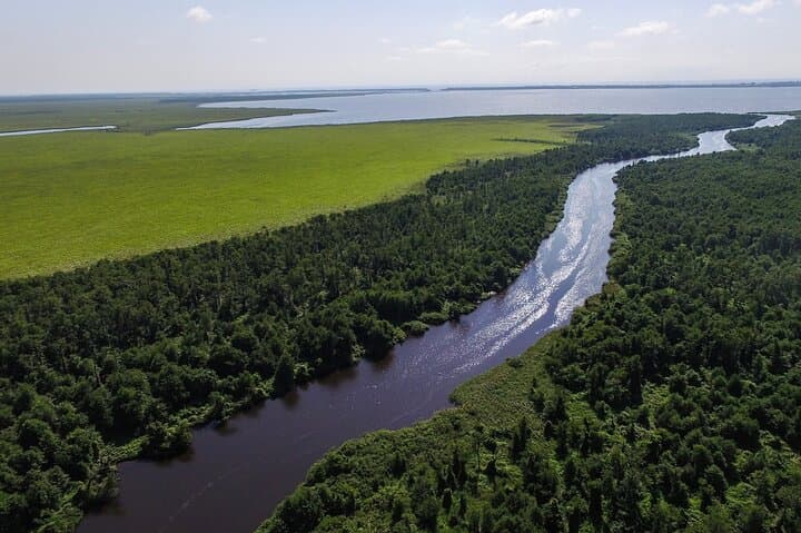 Discover the Georgian Amazon: Batumi Boat Tour to Kolkheti National Park photo 3