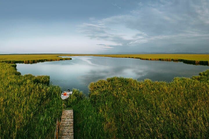 Discover the Georgian Amazon: Batumi Boat Tour to Kolkheti National Park photo 2