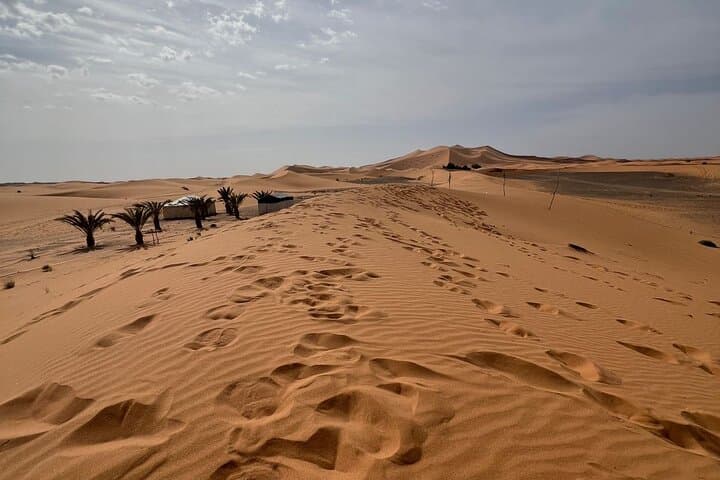 2-Day Sahara Desert Experience from Fes to Merzouga photo 3