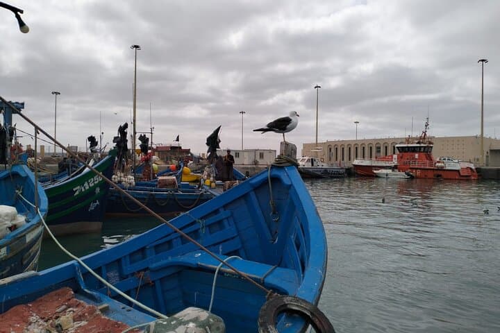 Private Day Trip from Marrakech to Essaouira: Atlantic Medina & Windswept Beaches