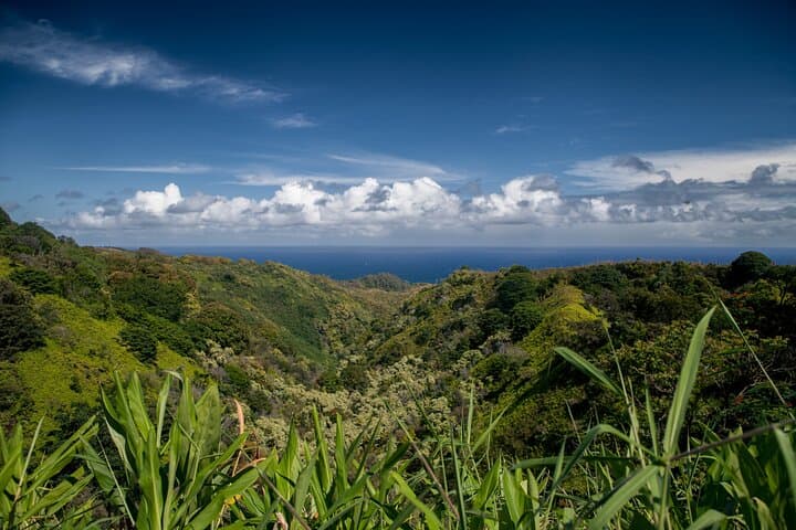 Road to Hana Halfway & Haleakala Summit Day Tour — Best of Maui in One Day photo 5