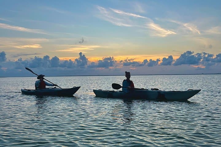 Pensacola Beach Kayak Tour: Guided Bay Paddle with Wildlife & Sunset Views photo 3