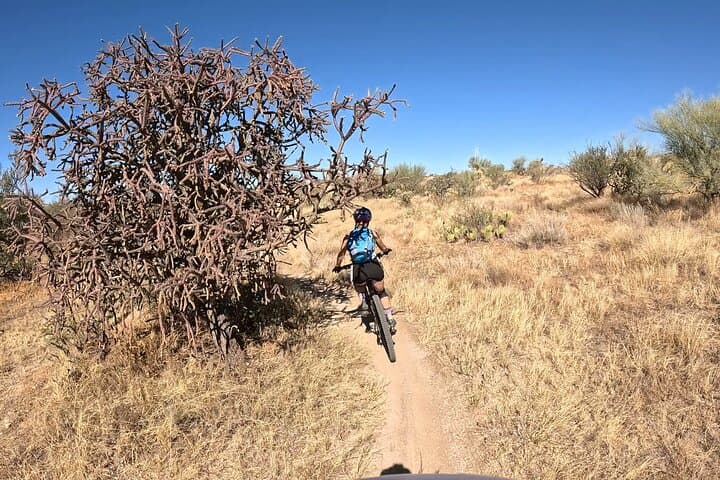 Sonoran Desert Guided Mountain Bike Adventure - Tucson Mountain Biking Tours photo 2