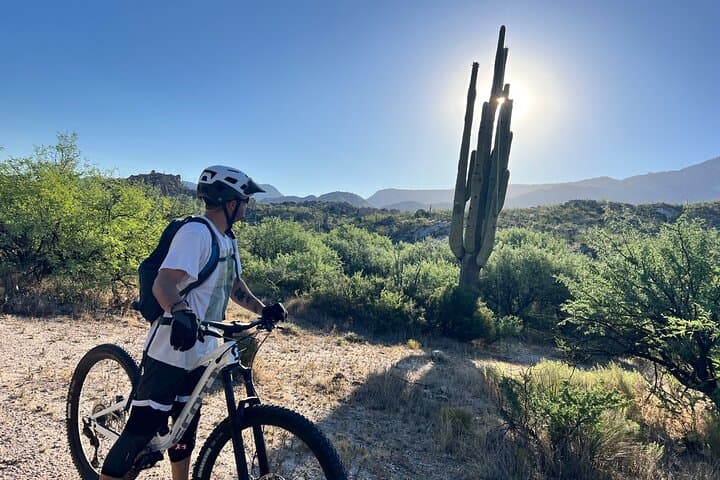 Sonoran Desert Guided Mountain Bike Adventure - Tucson Mountain Biking Tours photo 5