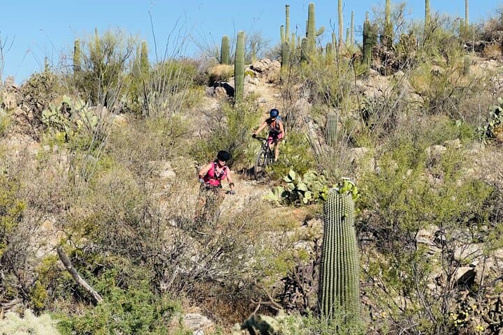 Sonoran Desert Guided Mountain Bike Adventure - Tucson Mountain Biking Tours photo 6