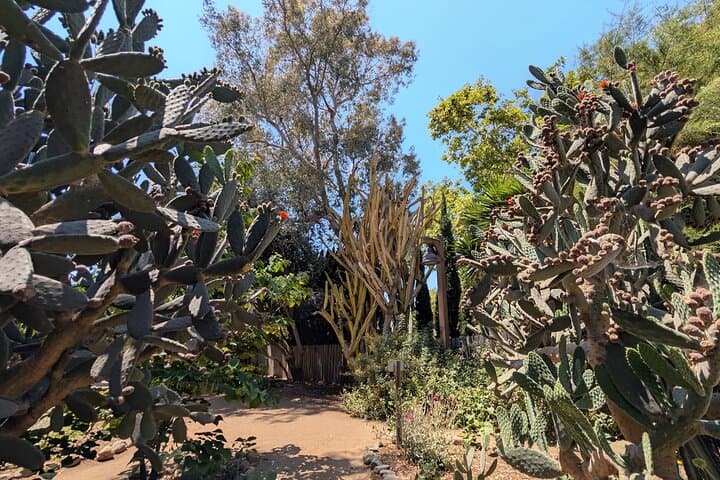 San Juan Capistrano Scavenger Hunt: Self-Guided Historic Walking Tour photo 3