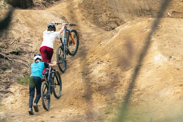 Self-Guided Half-Day Mountain Bike Ride in Rotorua's Whakarewarewa Redwoods photo 3