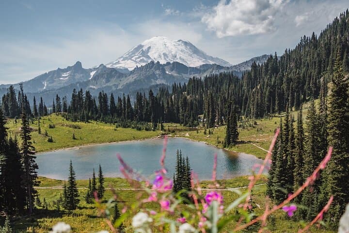 Day Trip to Mt. Rainier: Crystal Mountain Gondola, Paradise & Reflection Lakes photo 6