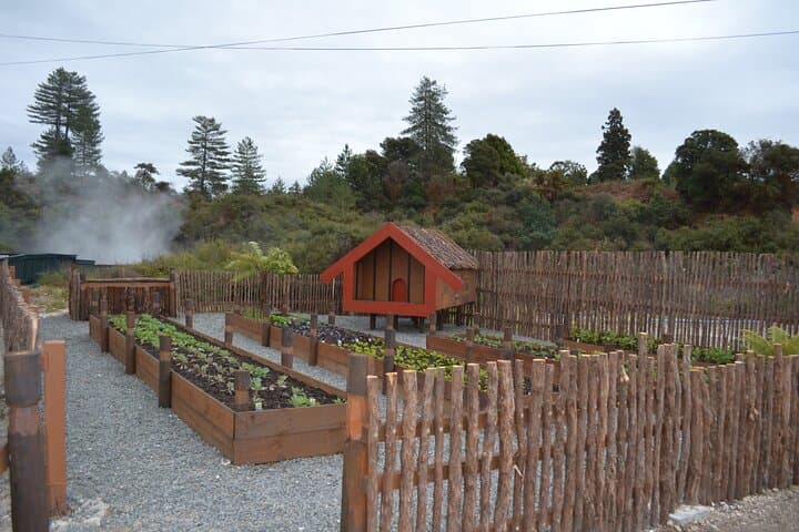 Whakarewarewa Guided Māori Village Tour — Rotorua’s Living Geothermal Heritage photo 6