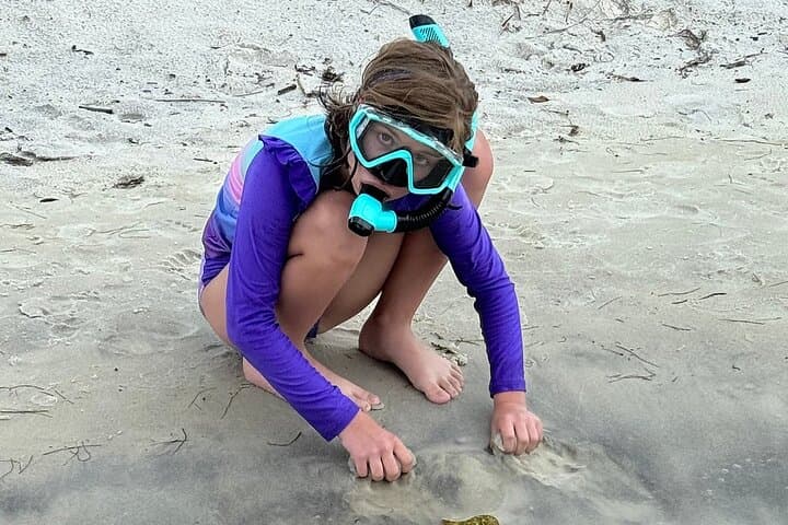 Private Snorkeling Excursion in Orange Beach: Gulf Coast Wildlife & Custom Charters photo 5