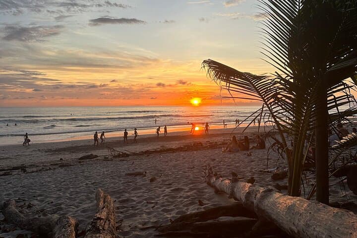 Santa Teresa Surf Lessons from San José — Full-Day Surf, Ferry & Beach Time photo 2
